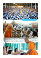 หน้า11