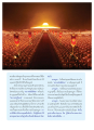 ความสำคัญของวันมาฆบูชา