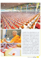 การมอบสไบแก้วในพระพุทธศาสนา
