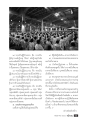การทรงเป็นผู้จักรรรมและการเผยแผ่ธรรม