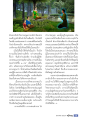 การกลับบ้านและความเชื่อในกรรม