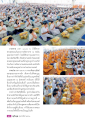 พิธีสวดพระพุทธมนต์และถวายภัตตาหาร