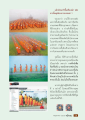 ผลกระทบหลังโครงการบรรพชา