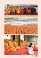 หน้า19