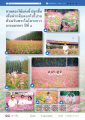 หน้า19