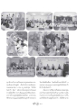 ประวัติการจัดงานบำเพ็ญบุญกุศลในญี่ปุ่น