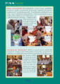 ข่าวบุญต่างประเทศ: กิจกรรมรวมใจสู่พระพุทธศาสนา