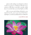 หน้า11
