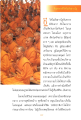 ที่สุดของชีวิตในสังสารวัฏ
