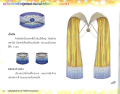 หน้า17