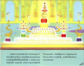 หน้า12