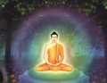หน้า11