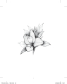หน้า29
