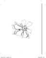 หน้า65