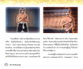 หน้า3