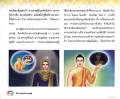 หน้า4