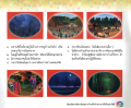 หน้า6