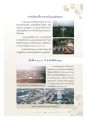 การสร้างวัดพระธรรมกายจากดินเปลี่ยว