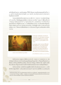การปฏิญาณเพื่อสร้างศรัทธาในพระพุทธศาสนา