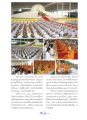 โครงการอบรมธรรมทายาทและผลกระทบต่อสังคม