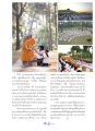 เส้นทางสู่ความดีและความสงบสุข