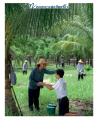 หน้า115