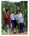 หน้า13