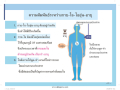 หน้า4
