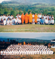 The Art of Mindfulness
