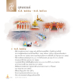 ยุคเผยแผ่ พระธรรมกาย