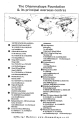Dhammakaya Foundation and Overseas Centres