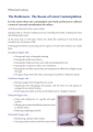เรียนรู้เกี่ยวกับการทำ SEO