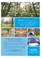 Experience Inner Peace at The Middle Way Meditation Village