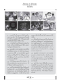 Dream in Dream - ฝันในฝัน