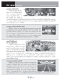 ข่าวบุญ ในประเทศ
