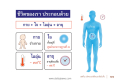 หน้า11