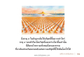 หน้า19