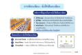 การจัดระเบียบในการนั่ง