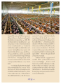 แรงบันดาลใจในการศึกษาบาลีของสามเณรฐาปนาวุฒิ