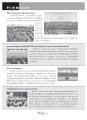 พิธีถวายกองทุนพระภิกษุสามเณรอาพาธ