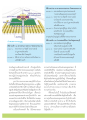 พิธีกรรมการสร้างมหาวิหารพระมงคลเทพมุนี