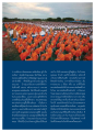 ความผูกพันของลุกหลานหลวงปู่ที่วัดพระธรรมกาย