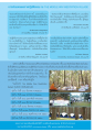 ผลการปฏิบัติธรรม ณ THE MIDDLE WAY MEDITATION VILLAGE