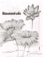 เป็นมงคลอย่างยิ่ง — วารสารกัลยาณมิตร ปี 2529 ฉบับที่ 2 เดือนกุมภาพันธ์ หน้า 69