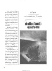 ดอกบัวและพระพุทธศาสนา