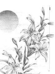 วารสารกัลยาณมิตร ปี 2529 ฉบับที่ 3 เดือนมีนาคม หน้า 43