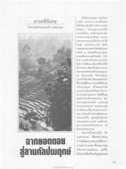 การเดินทางสู่ธรรมชาติ
