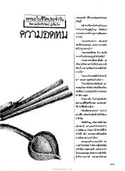 ธรรมะในชีวิตประจำวัน