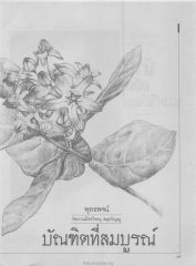 พุทธพจน์ — วารสารกัลยาณมิตร ปี 2529 ฉบับที่ 7 เดือนกรกฎาคม หน้า 51