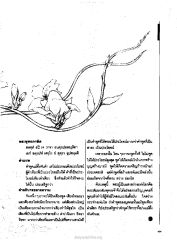 คำพูดที่มีประโยชน์